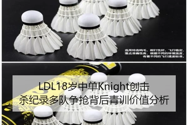LDL18岁中单Knight创击杀纪录多队争抢背后青训价值分析
